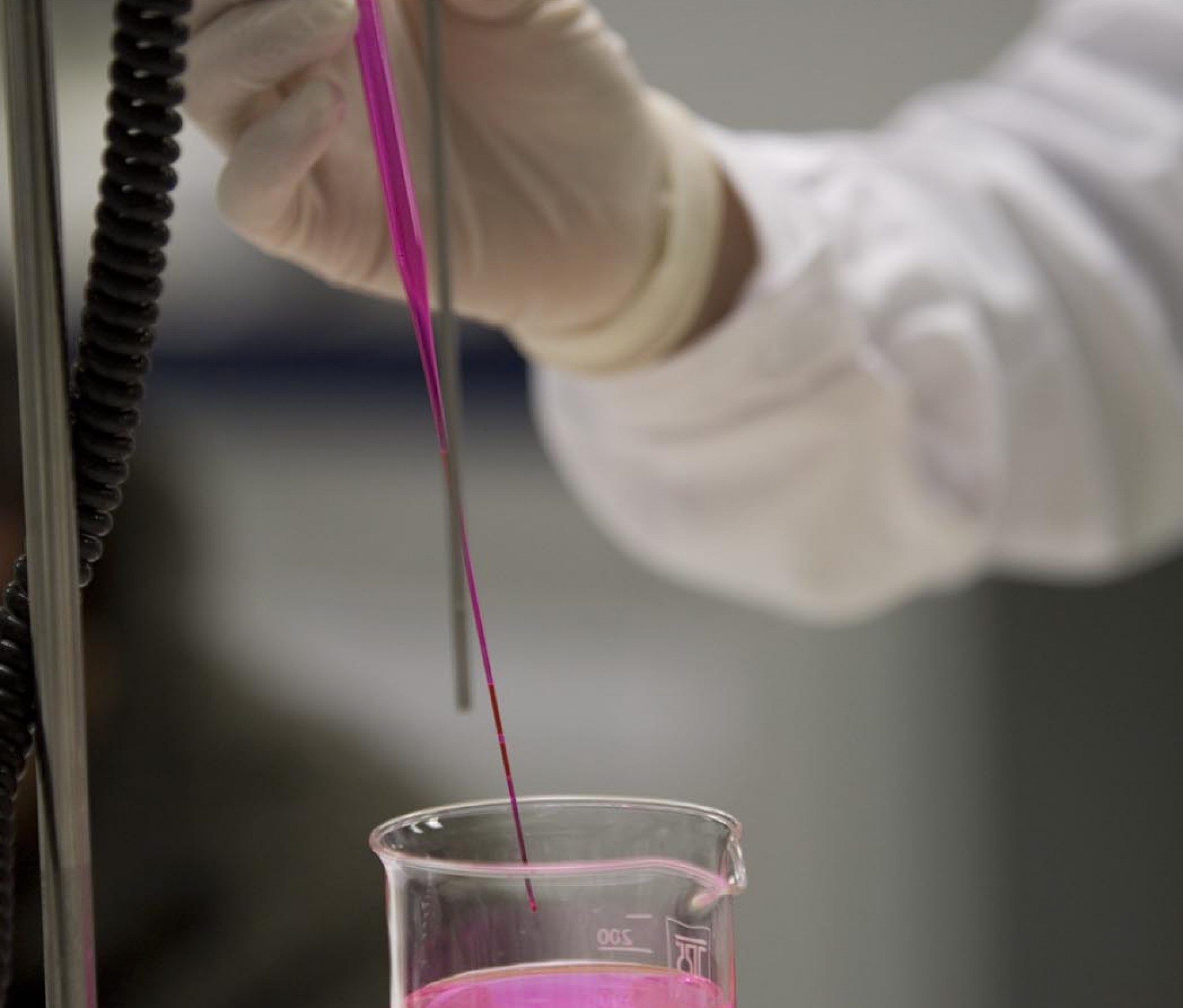 Leading new start-ups to success